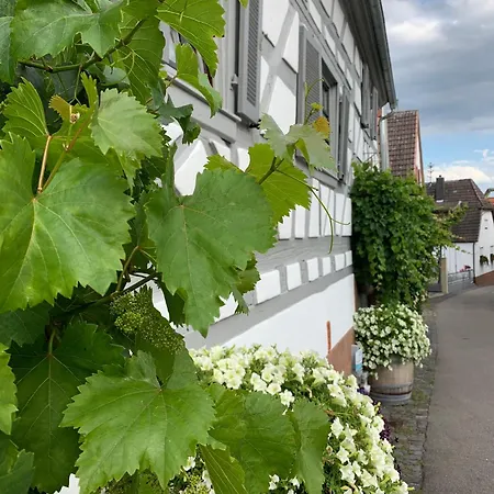 Sambachhaus Gleiszellen-Gleishorbach
