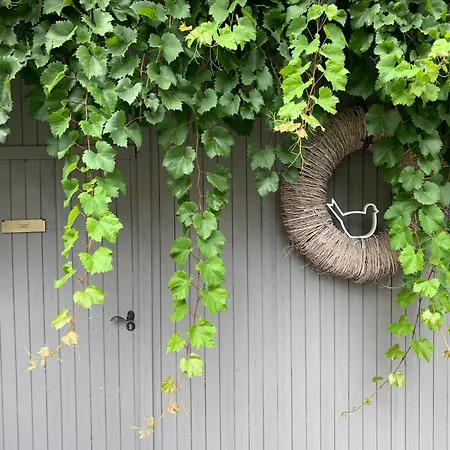 Sambachhaus Apartment *