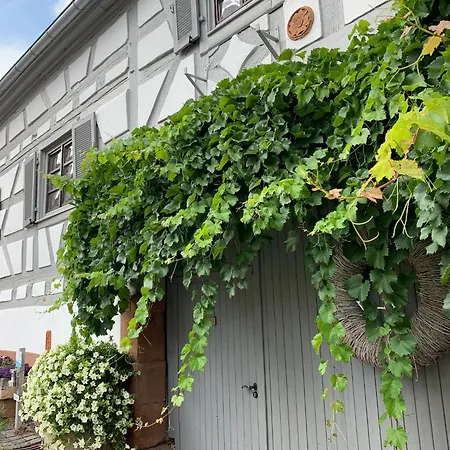 Apartment Sambachhaus *