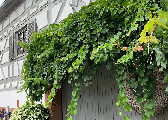 Apartamento Sambachhaus *